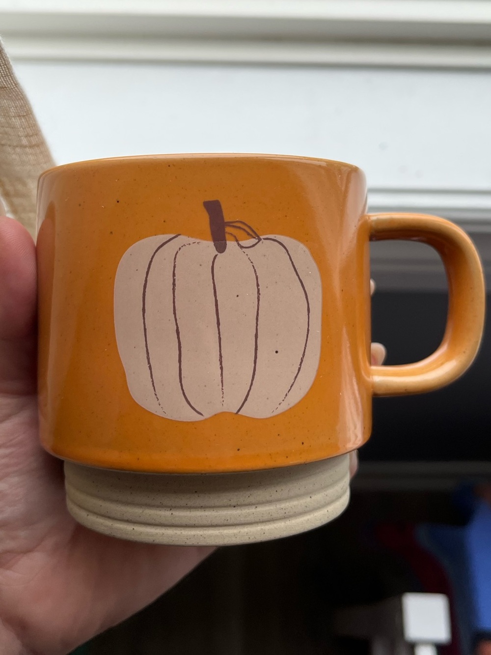 Sweet orange pumpkin mug